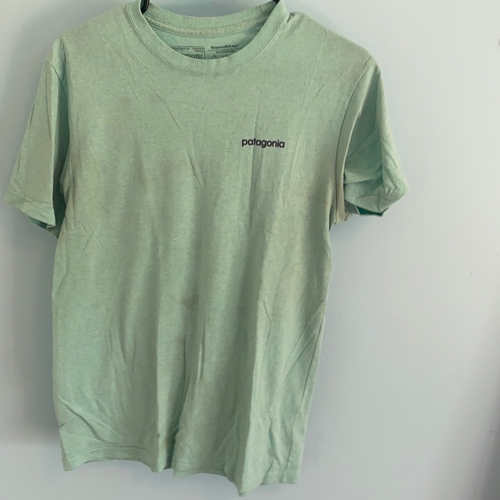 Patagonia TShirt
